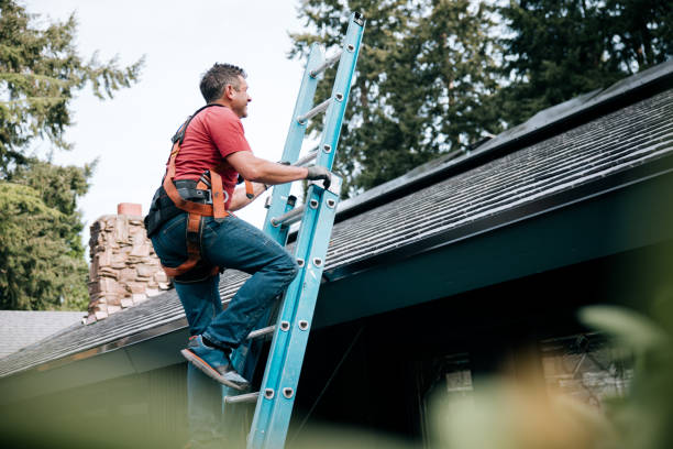 Steel Roofing in Fairport, NY